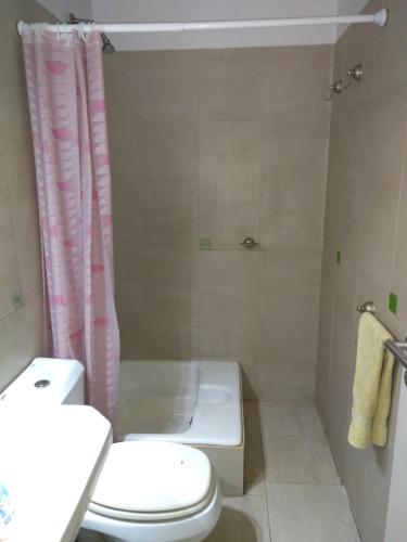 a bathroom with a toilet and a shower curtain at Cozy III Loft en pleno Centro de Mendoza in Mendoza