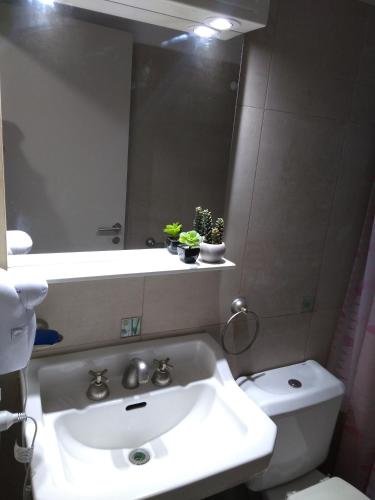 a bathroom with a sink and a toilet and a mirror at Cozy III Loft en pleno Centro de Mendoza in Mendoza