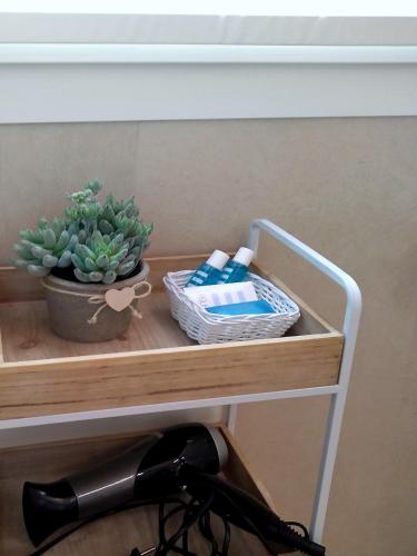 a hair dryer sitting on a shelf with a plant at Le Mandragole B&B in Roncade