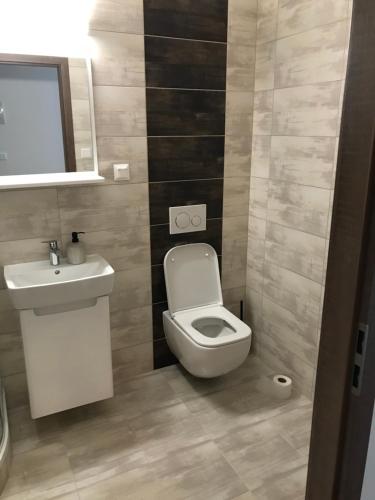 a bathroom with a toilet and a sink at Bezručova škola in Staré Hamry
