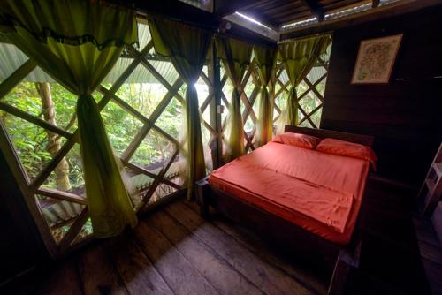 ein Schlafzimmer mit einem Bett in einem Zimmer mit Fenstern in der Unterkunft Ayahuasca in Puerto Nariño