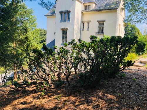 Un jardín fuera de Luxury Boutique Pension