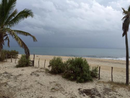 a sandy beach with palm trees and the ocean at Hotel Rancho Buenavista in Los Barriles