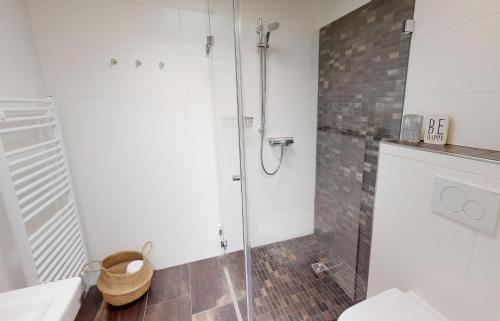 a bathroom with a shower and a toilet and a sink at Seesichtpur Wohnung Kaiser in Pelzerhaken
