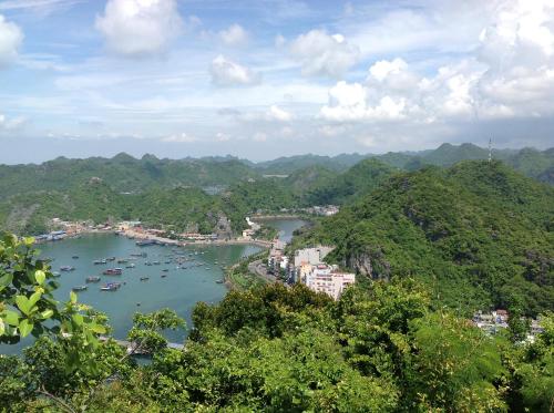 a view of a harbor with boats in the water at Sea Balcony Hotel in Cat Ba