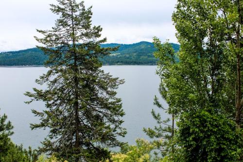 a view of a lake from between two trees at Paradise Regained in Len Landing