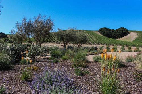 Gallery image of Seaside Strolls in Cayucos