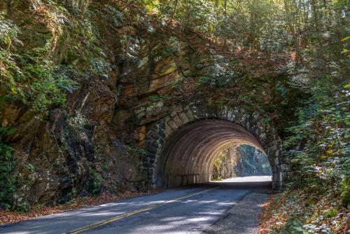 a road through a tunnel on a mountain at Million Dollar View Cabin in Dupont Springs