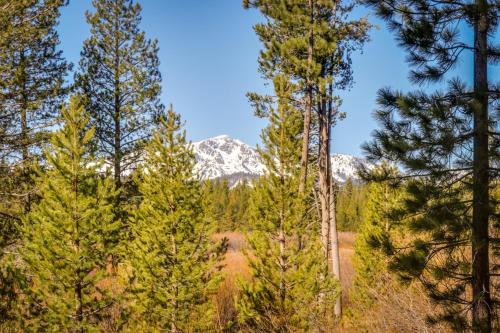 a view of a snow covered mountain through trees at Cozy Seclusion in South Lake Tahoe