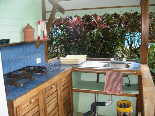 a kitchen with a sink and a counter top at Luna Caribeña Village in Puerto Viejo