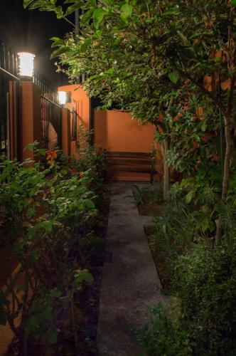 Κήπος έξω από το The house Dimitra Nea Fokaia