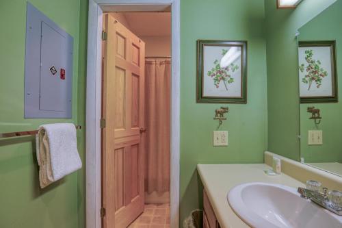 ein grünes Bad mit einem Waschbecken und einem Spiegel in der Unterkunft Fall Line S209 in Newry