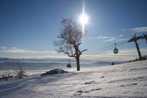 a ski lift with a tree on a snow covered slope at Furano Natulux Hotel in Furano
