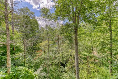 Bee Branch 44 – Photos 2