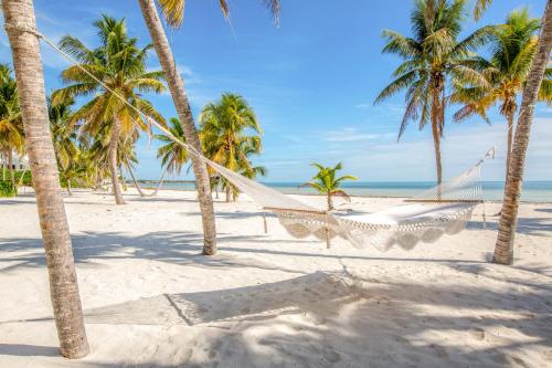 Paradise Beach – Photos 3