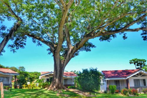 Playa Lagarto Eco Development – Photos 3