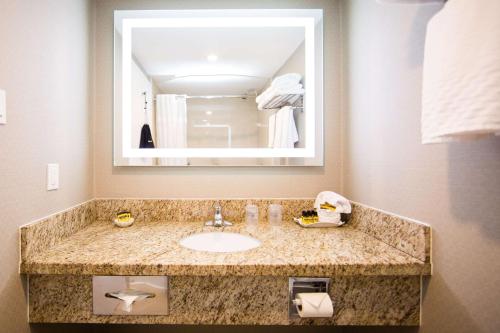a bathroom with a sink and a mirror at Best Western Plus Ottawa Kanata Hotel and Conference Centre in Ottawa