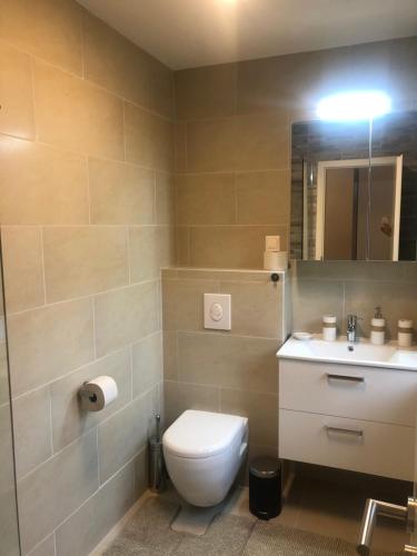 a bathroom with a toilet and a sink and a mirror at Enjoyit Velden West in Selpritsch