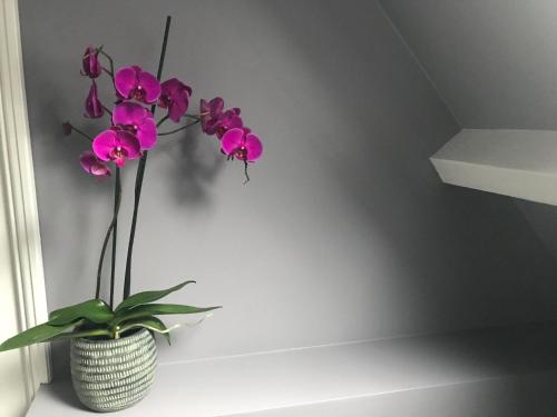 Gambar di galeri bagi Bed and Breakfast The Rose di Haarlem