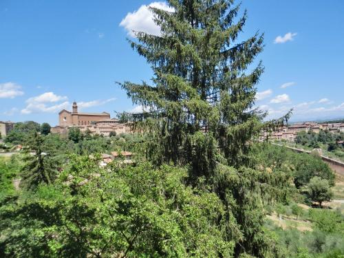 Φυσικό τοπίο κοντά σε αυτό το bed & breakfast
