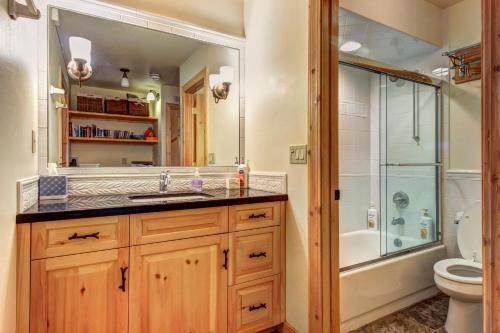 La salle de bains est pourvue d'un lavabo, d'une douche et de toilettes. dans l'établissement Viking Lodge B218, à Telluride