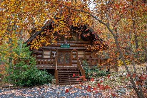 a log cabin in the woods in the fall at Chief Big Log Cabin in Hatchertown