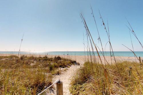 Beachcomber – Photos 4