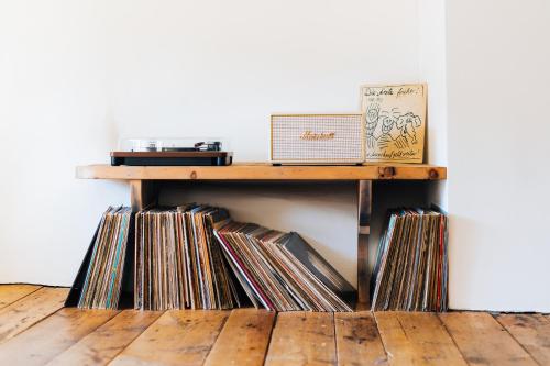 a wooden record shelf with a bunch of records at Chasa Staila in Vna