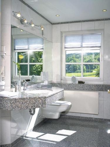 a bathroom with a sink and a toilet and a mirror at Hotel Albus in Olpe