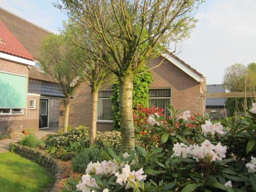 a garden of flowers in front of a house at B&B Kleintje Eleveld in Eleveld