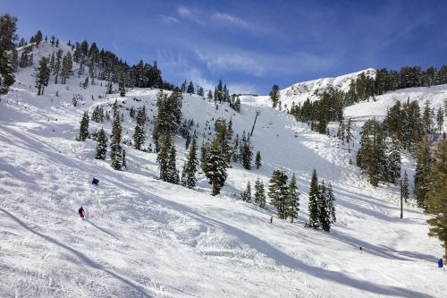 Mountain Flair – Photos 3