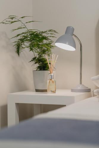 a desk with a plant and a lamp on it at Nguni River Apartment in Plettenberg Bay