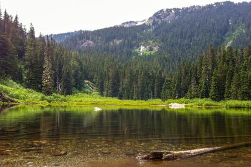 a lake in the middle of a forest at Hyak Duplex Cabin in Snoqualmie Pass