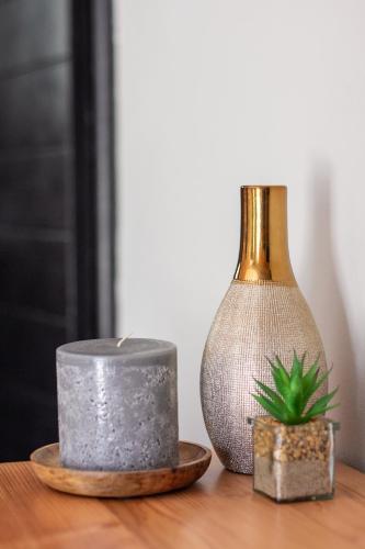 a table with a vase and a plant on it at Rest at Chabivin in Stellenbosch