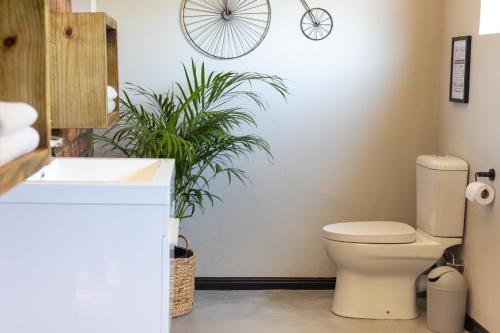a bathroom with a toilet and a bike on the wall at Rest at Chabivin in Stellenbosch