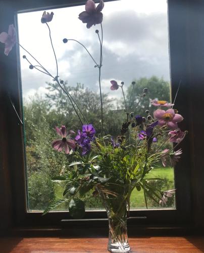 a vase filled with flowers sitting in a window at Tranquil Water in Midleton