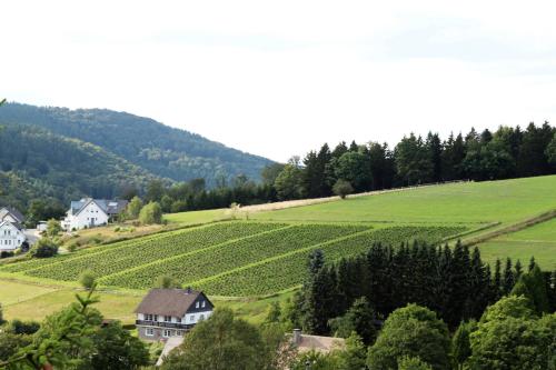 a farm in the middle of a green field at Gretel von Birne in Winterberg