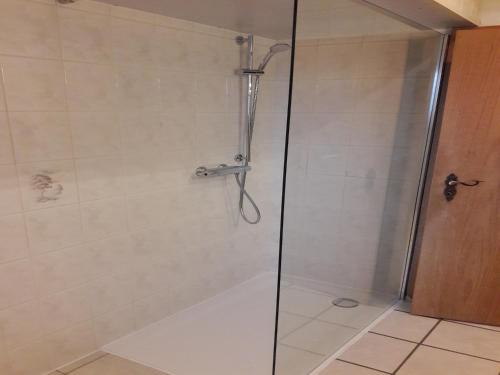 W łazience znajduje się prysznic ze szklanymi drzwiami. w obiekcie Hallmannshof w mieście Sonsbeck