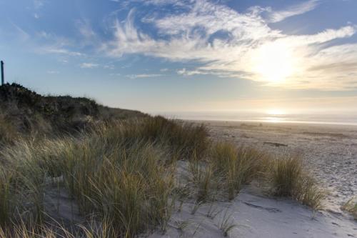Pacific Breeze Hideaway – Photos 5