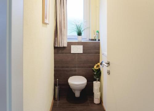 a bathroom with a toilet and a window at Ferienhaus Mountain View in Spital am Pyhrn