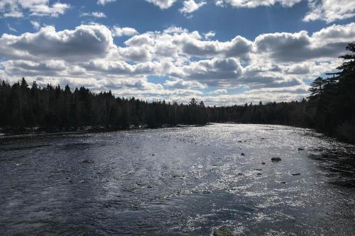 Moosehead Memories + Sandbar Cabin – Photos 2