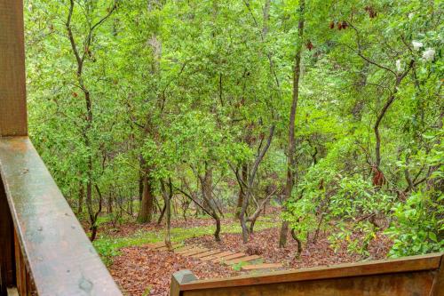 Laurel Creek – Photos 3