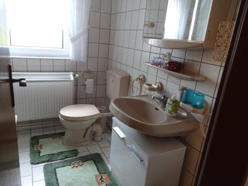 a small bathroom with a sink and a toilet at Ferienwohnung Kurparkblick in Hohegeiß