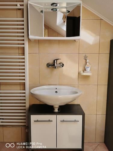 a bathroom with a sink and a mirror at Guesthouse Blazenka Hodak in Seliste Dreznicko