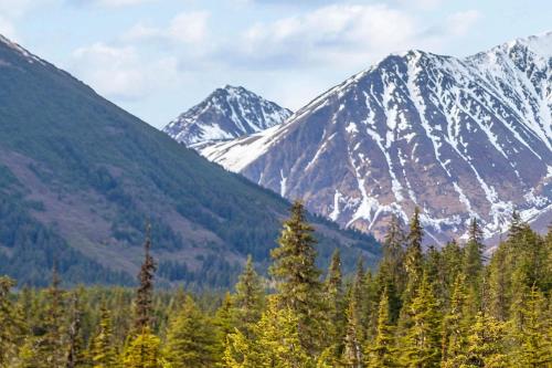 a group of trees in front of snowy mountains at Alyeska North #400 in Girdwood