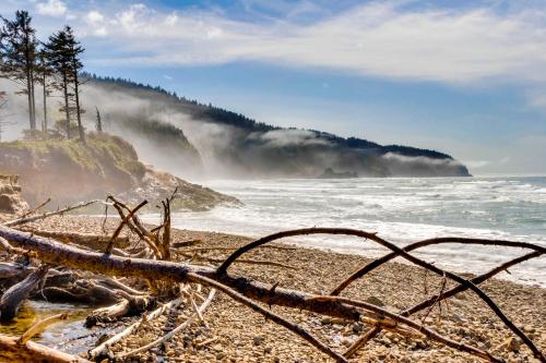 a beach with a tree branch on the beach at The Beach Barn in Netarts