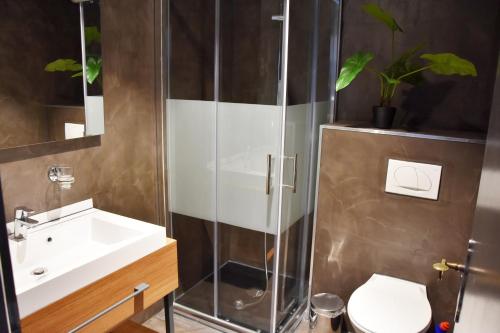 y baño con ducha, lavabo y aseo. en Comfort Apartments by Livingdowntown, en Zúrich