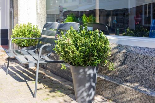 a potted plant sitting on a chair in front of a store at Sleep&Stay Floris IV in The Hague