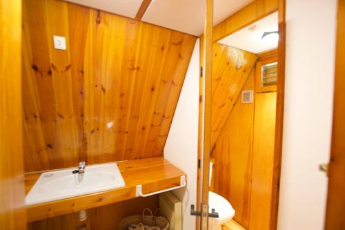 a bathroom with a sink and wooden walls at La cabaña de Ger in Ger
