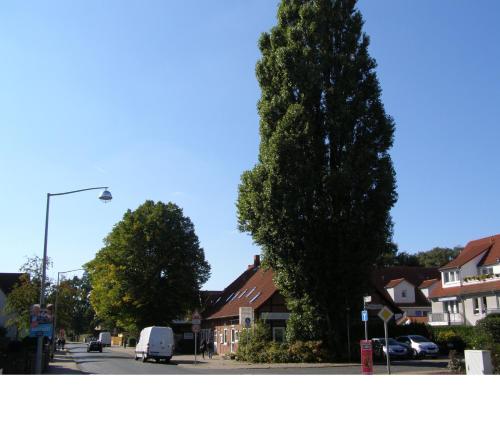 a large tree on the side of a street with houses at Hotel Alt Vinnhorst in Hannover